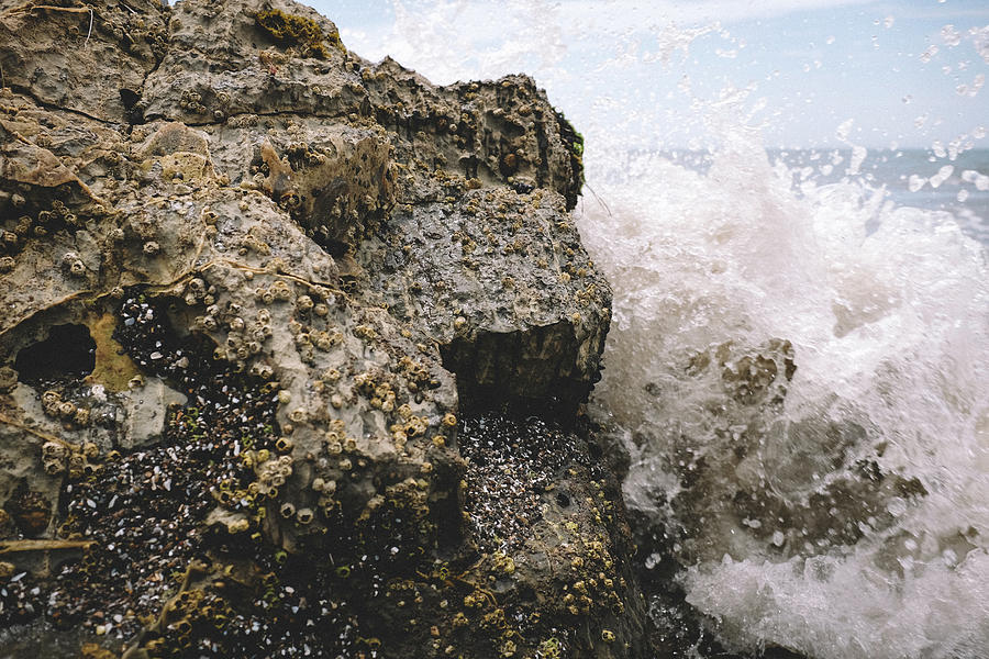Nature Photograph - Detail Shot Of Barnacles And Crashing Wave by Cavan Images