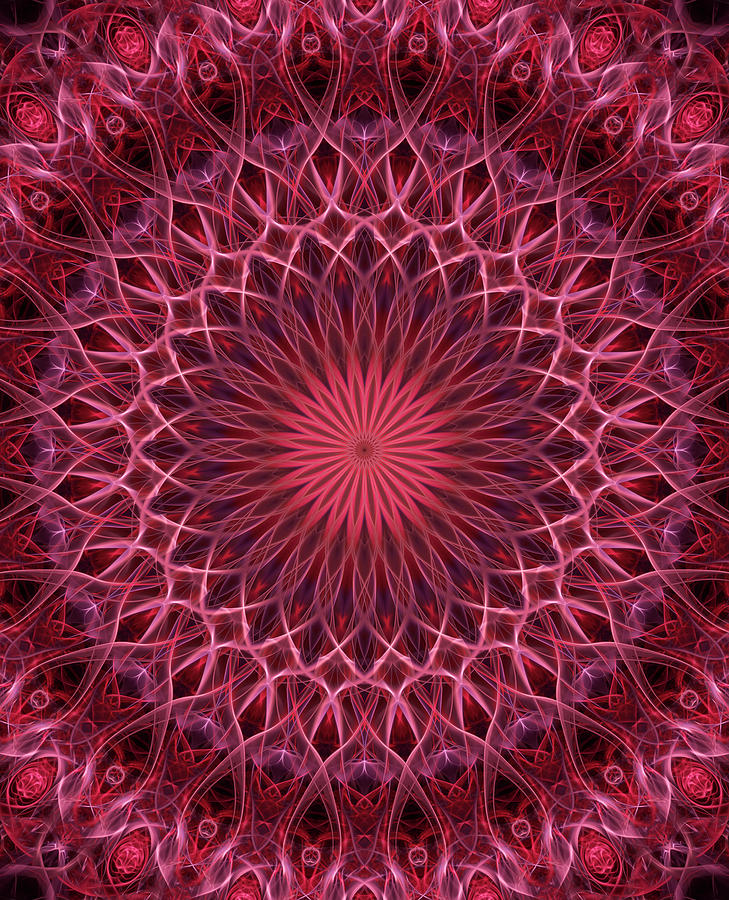 Detailed mandala in pink and red tones Digital Art by Jaroslaw Blaminsky