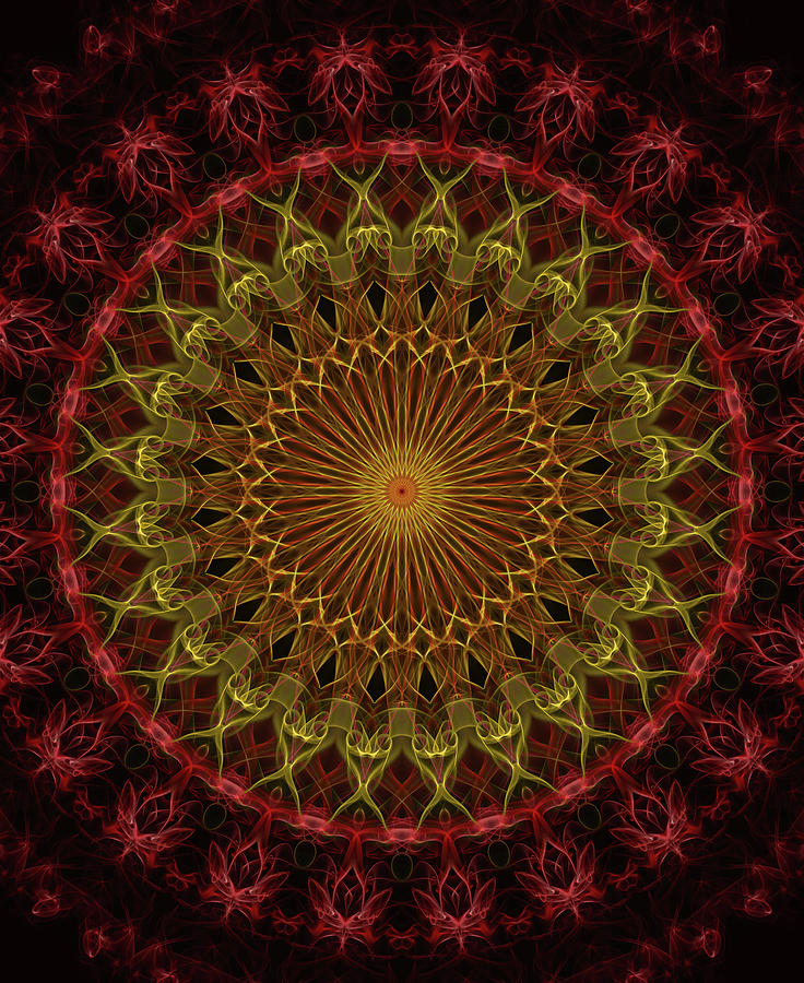 Detailed mandala in red and golden tones Digital Art by Jaroslaw Blaminsky