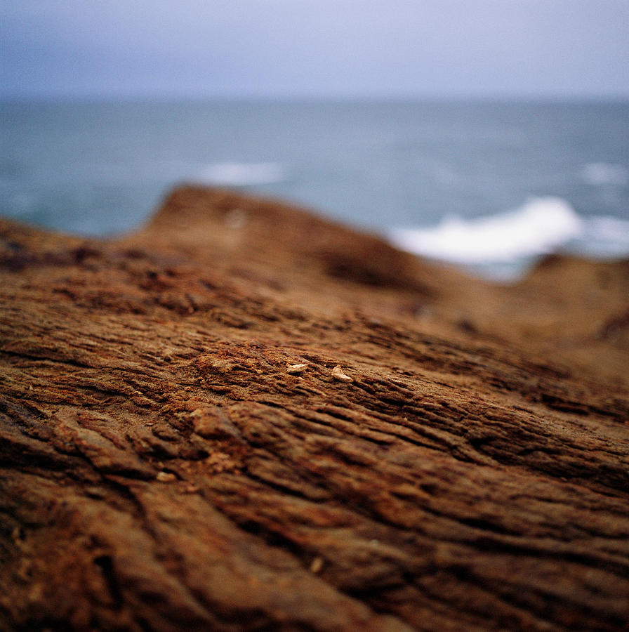 Detailed View Of Sandstone At Oceans Photograph by Danielle D. Hughson