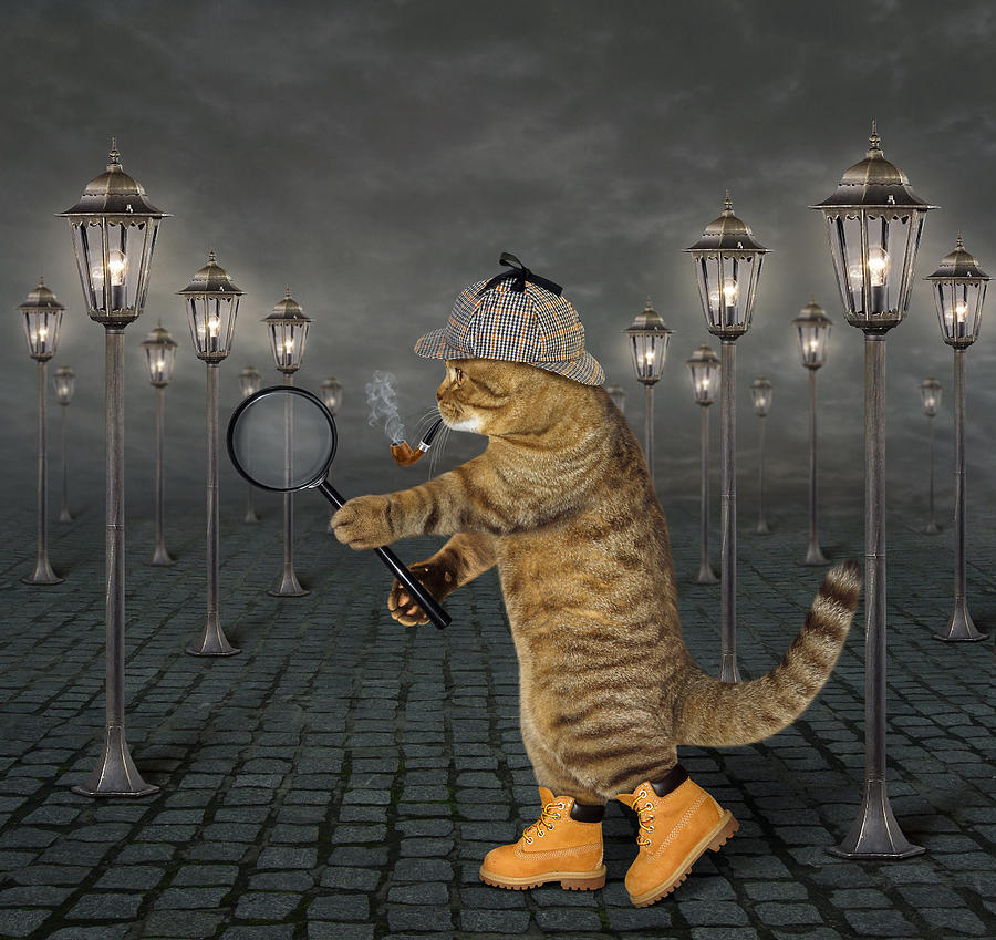 Cat Photograph - Detective... by Iryna Kuznetsova (iridi)