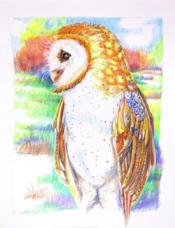 Determination Owl Drawing by Patricia Allingham Carlson