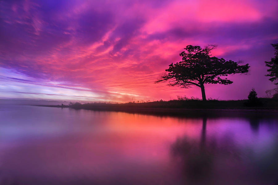 Detroit Point Purple Sunrise Photograph by Ron Wiltse - Pixels