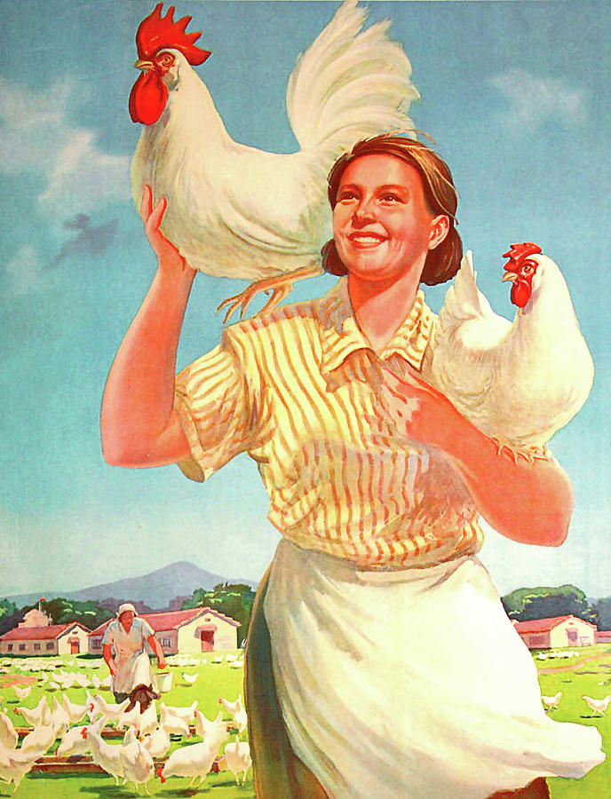 Develop your chicken farm Digital Art by Long Shot