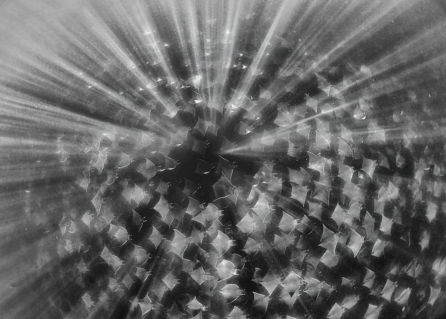 Lucifer Rays Devil Rays Photograph by Jennifer Lu - Fine Art America