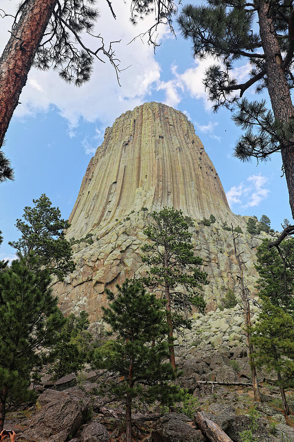 Devils Tower 2 Photograph by Doolittle Photography and Art