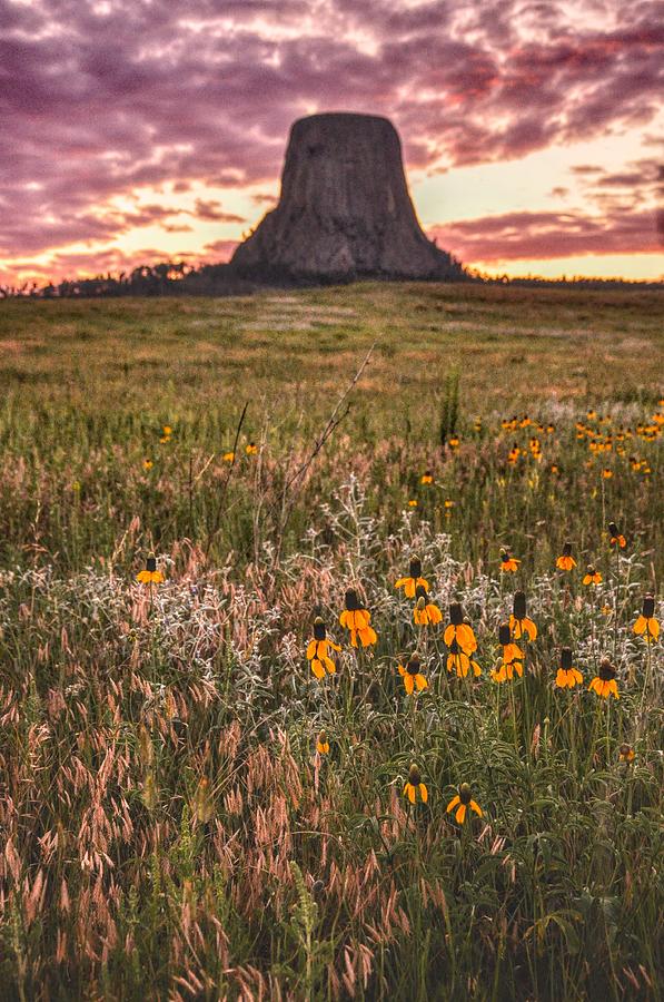 Devils Tower Sunset Photograph by Chance Kafka