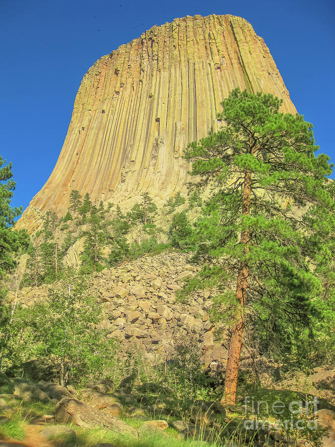 Devils Tower National Monument Photograph by Benny Marty
