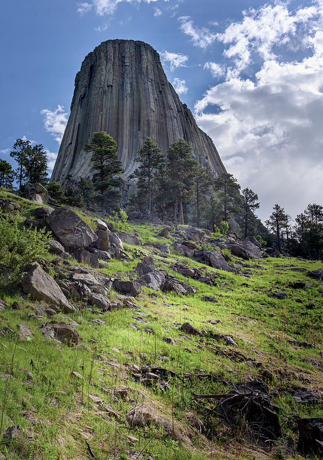 Devils Tower National Monument Wyoming USA II Photograph by Joan Carroll