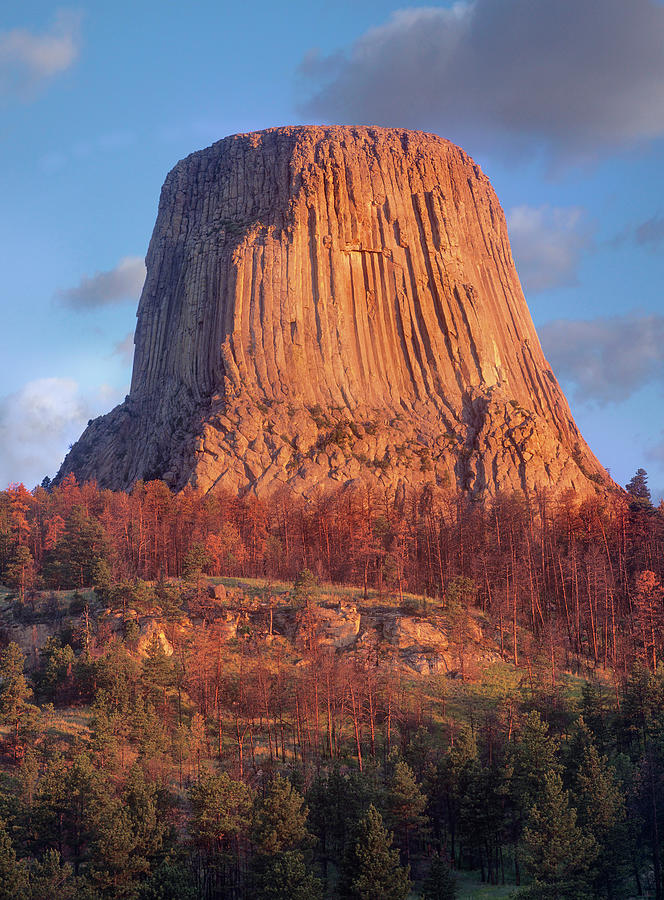 Devils Tower Nm, Wyoming Photograph by Tim Fitzharris