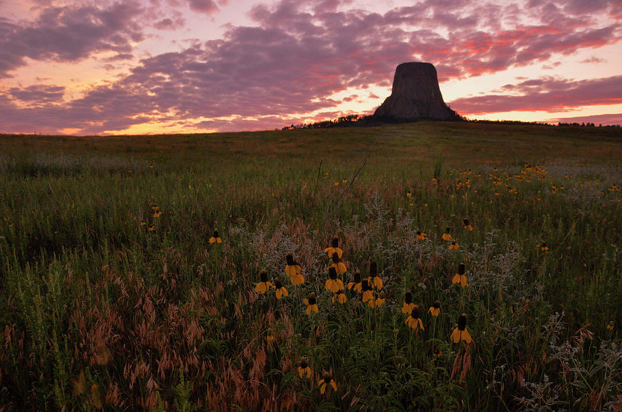 Devils Tower Sunset, Wyoming Photograph by Chance Kafka