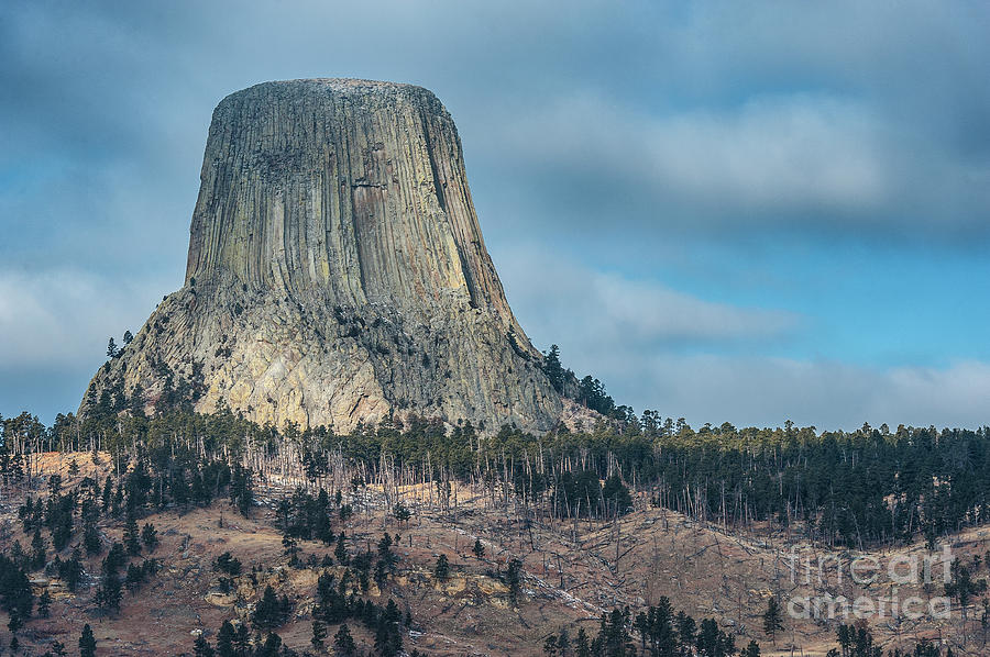 Devils Tower - Wyoming Photograph by Sandra Bronstein