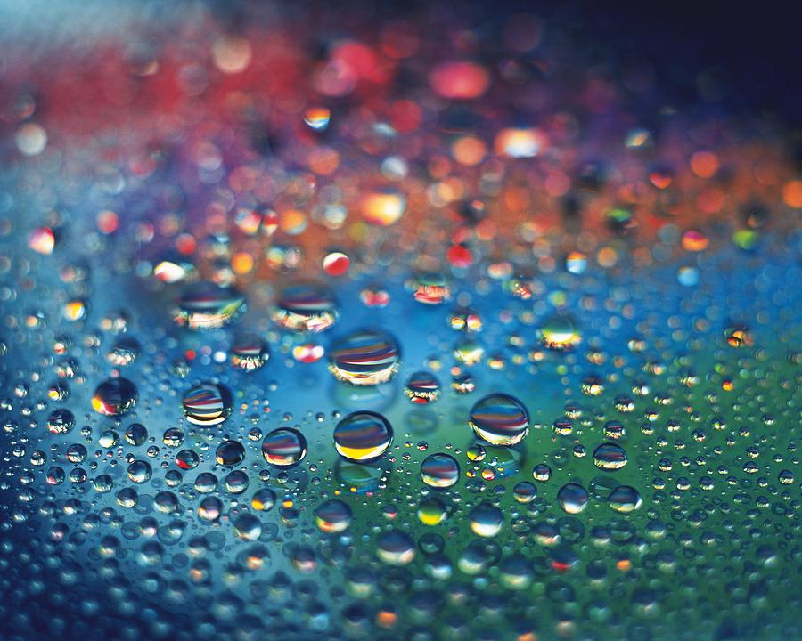 Dew On The Rainbow Color, Close Up Photograph by Daj - Fine Art America