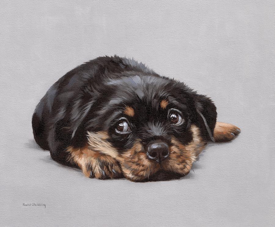 Dexter by Rachel Stribbling Dexter by Rachel Stribbling