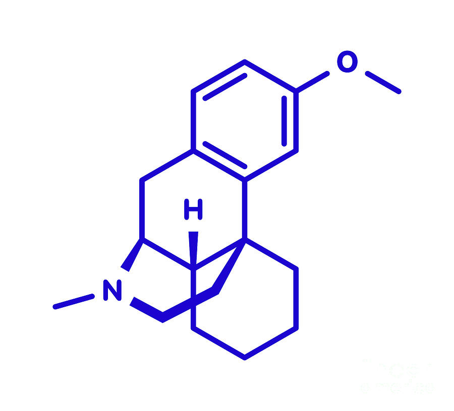 Dextromethorphan Structure