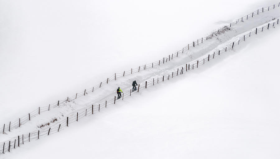 Winter Photograph - Diagonal by Fran Osuna