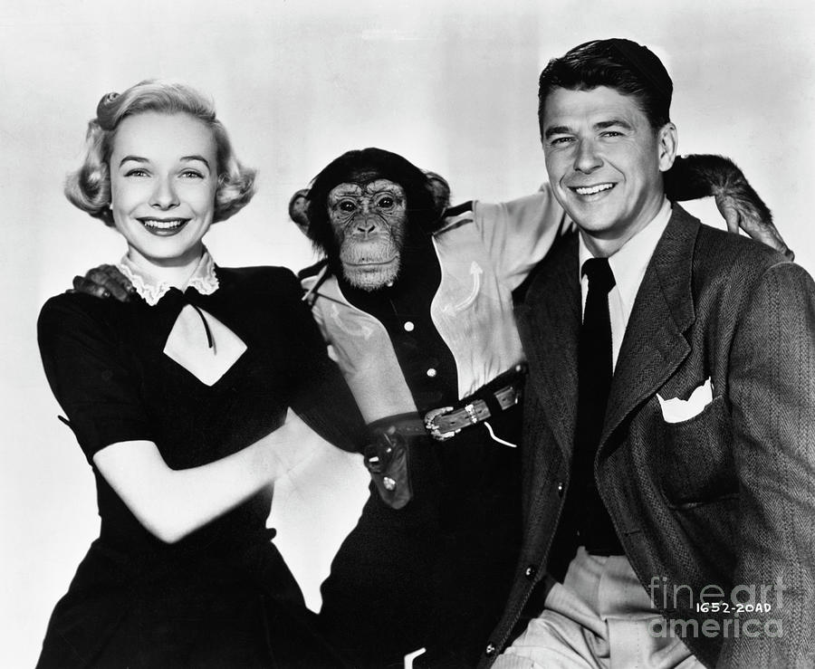 Diana Lynn, Bonzo, And Ronald Reagan by Bettmann