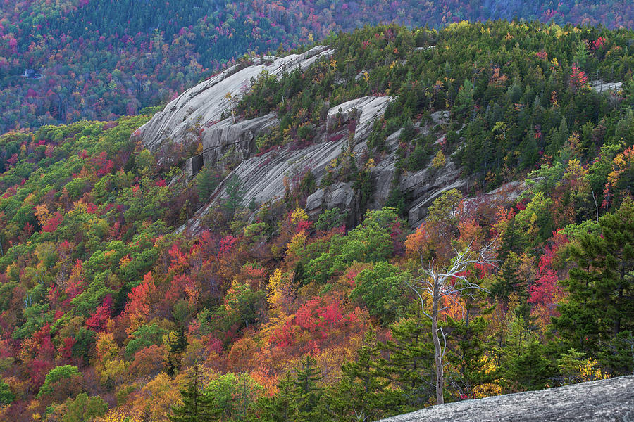 Dickey Ledges Autumn Photograph by White Mountain Images
