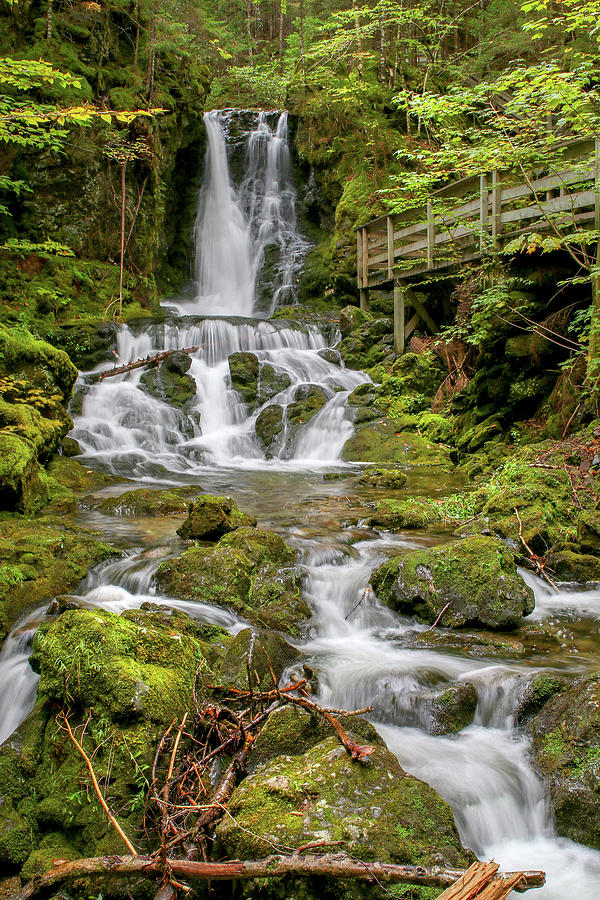 Dickson Falls-2 Photograph by Bibzie Priori | Fine Art America