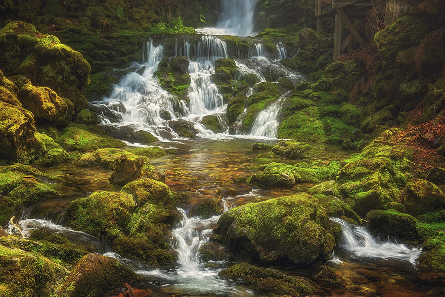 Dickson Falls Photograph by Tracy Munson