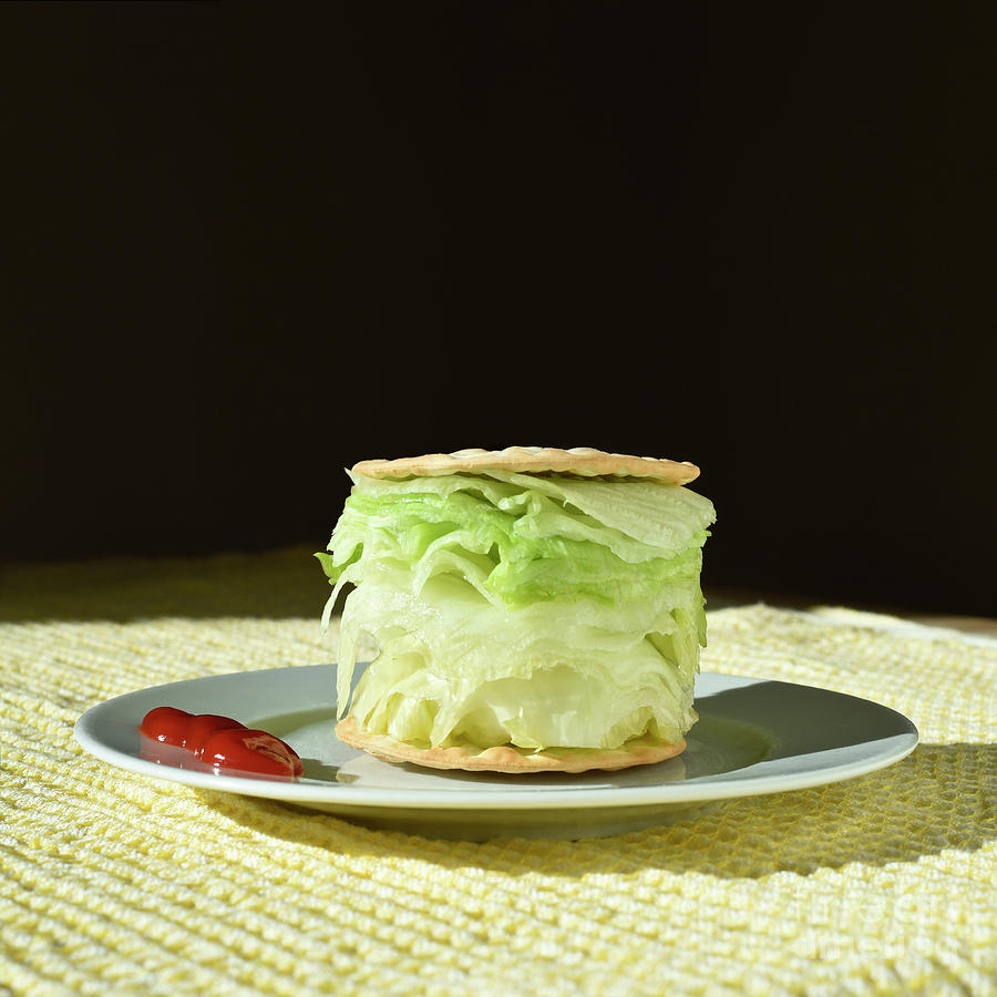 Dieting Photograph by Science Photo Library Dieting Photograph by Science Photo Library
