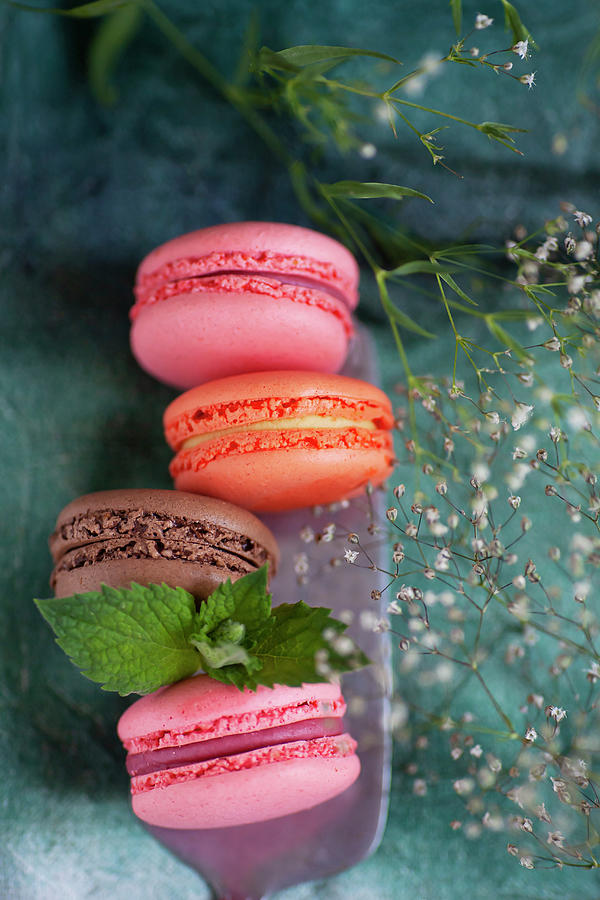 Different Colored Macarons On A Cake Server Photograph by Alicja Koll
