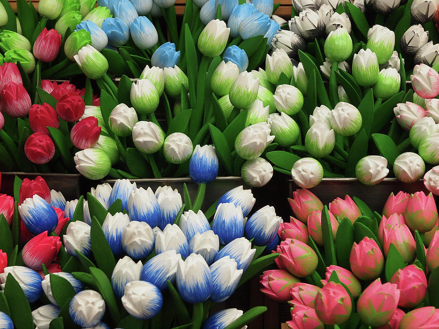 Different Coloured Wooden Tulips For Sale On Singel Canal, Amsterdam, Netherlands Photograph by Jalag / Marion Beckhuser