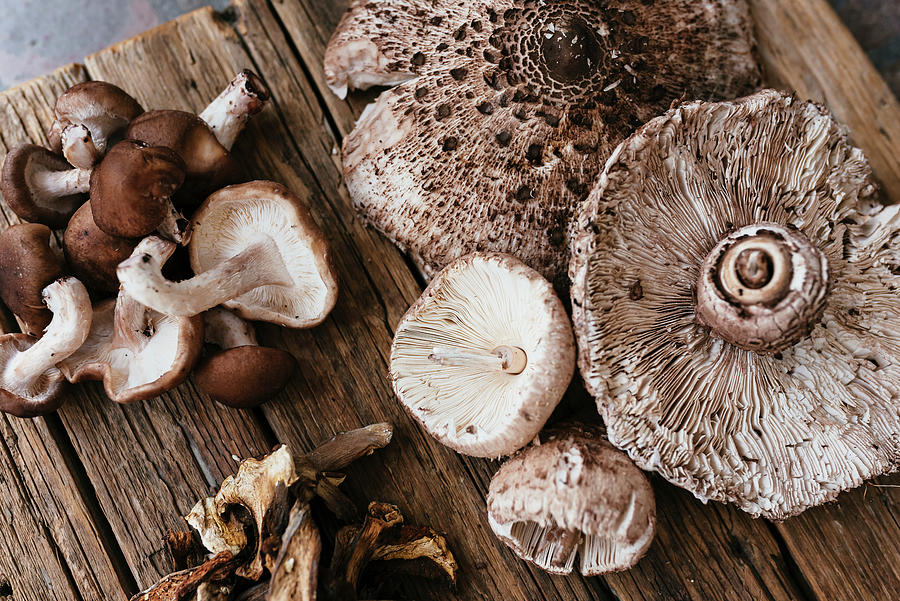 Different Sorts Of Eddible Mushrooms On A Wooden Background Photograph by Visnja Sesum