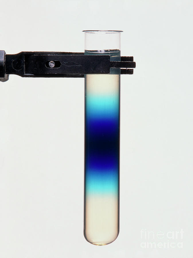 Diffusion Of Blue Dye In An Agar Gel Photograph by Martyn F. Chillmaid/science Photo Library
