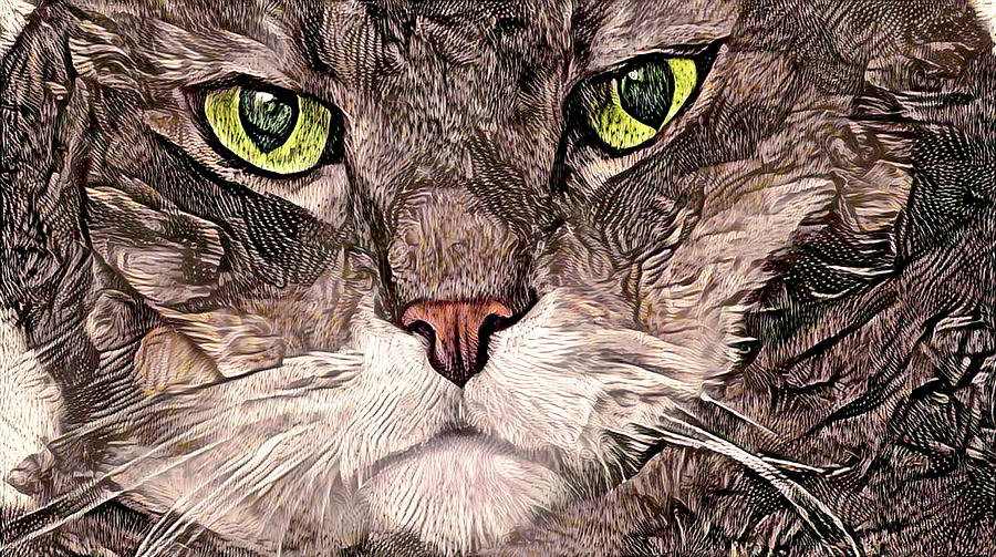 Cat Digital Art - Digger the Grumpy Cat by Peggy Collins