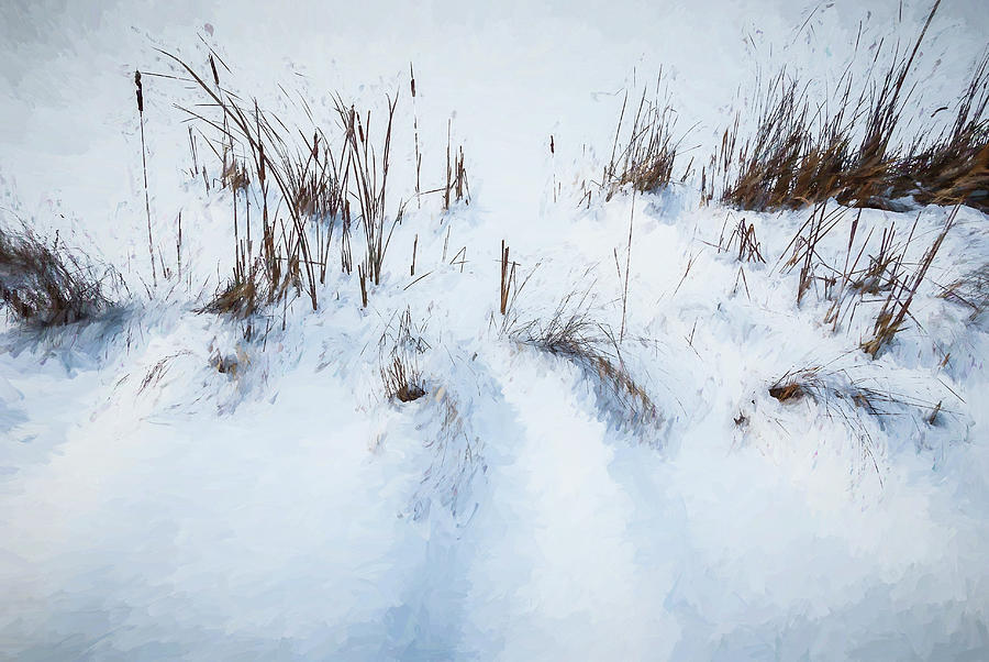 Winter Photograph - Digital Art Cattails In Winters Snowdrifts by Anthony Paladino