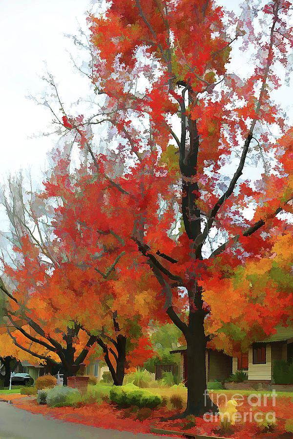 Digital Art Colors of Fall  Photograph by Chuck Kuhn