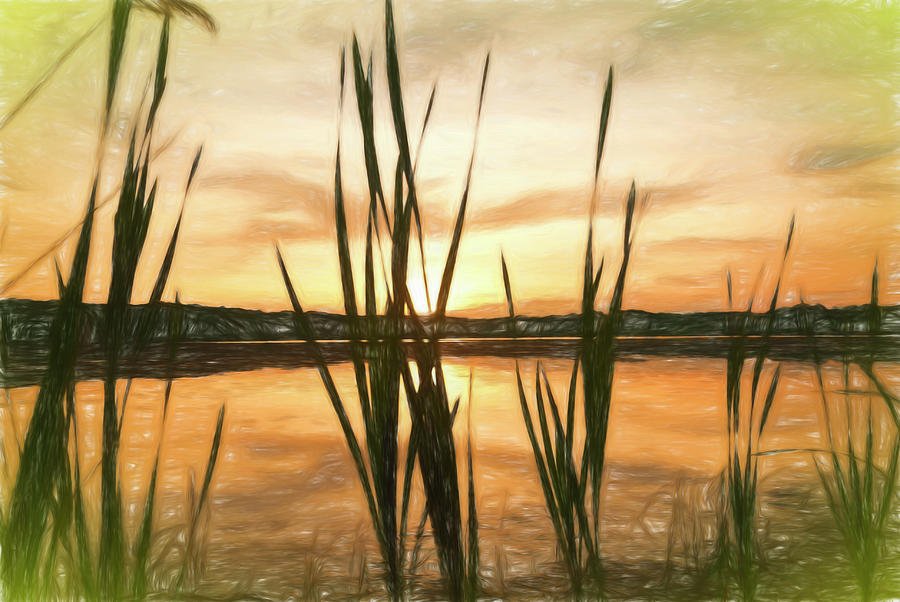 Nature Photograph - Digital Art Giant Reeds Colorful Sunset In Crayon by Anthony Paladino