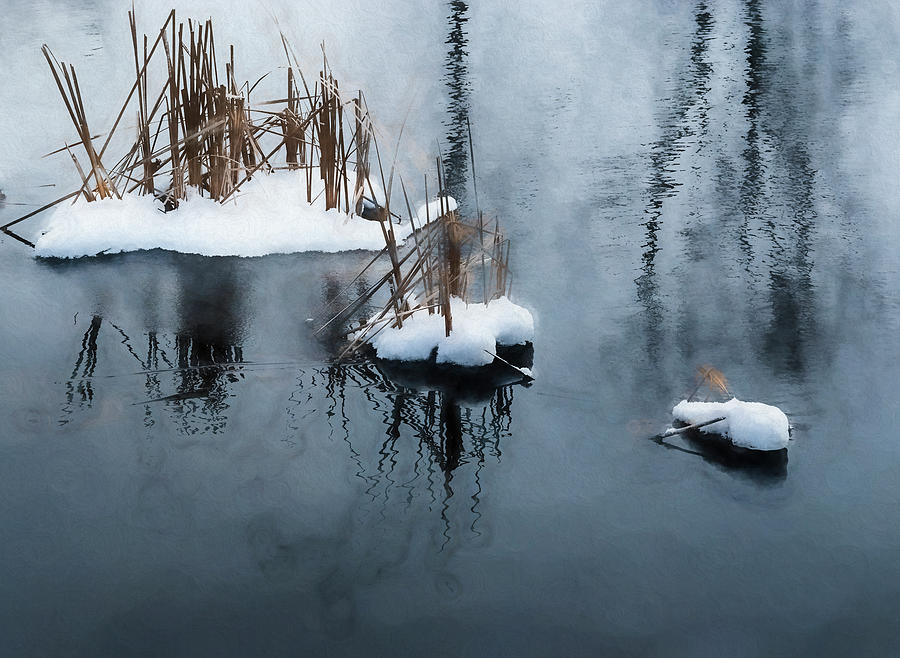 Digital Art Snow And Reeds Icy Pond Photograph by Anthony Paladino - Pixels