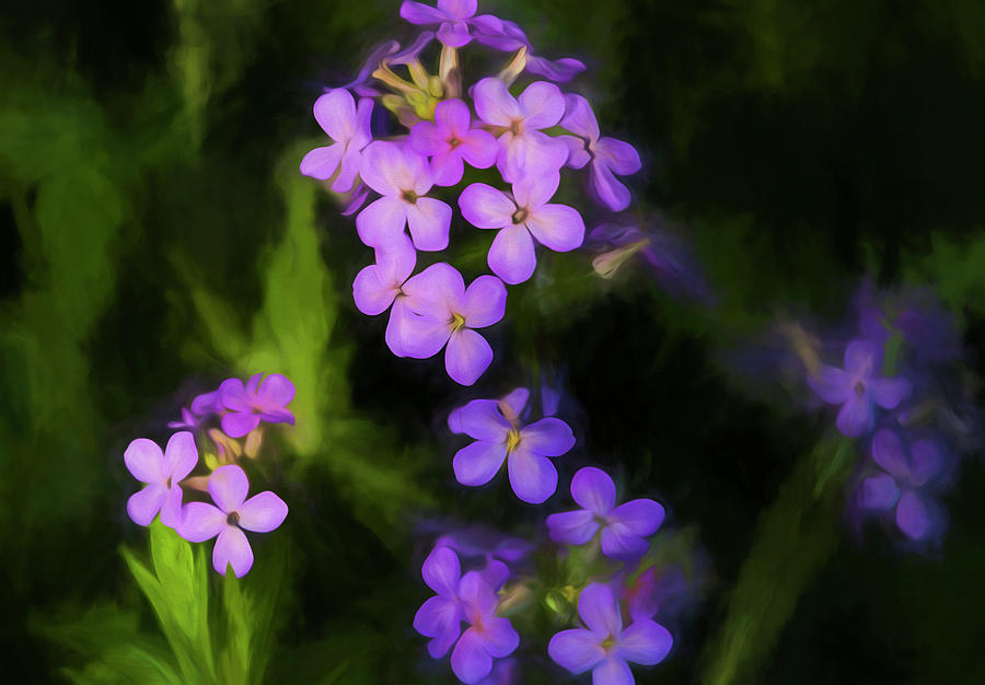 Flower Photograph - Digital Art Wild Purple Flowers by Anthony Paladino