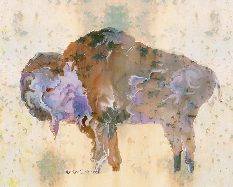 Montana Bison 6A Digital Art by Kae Cheatham