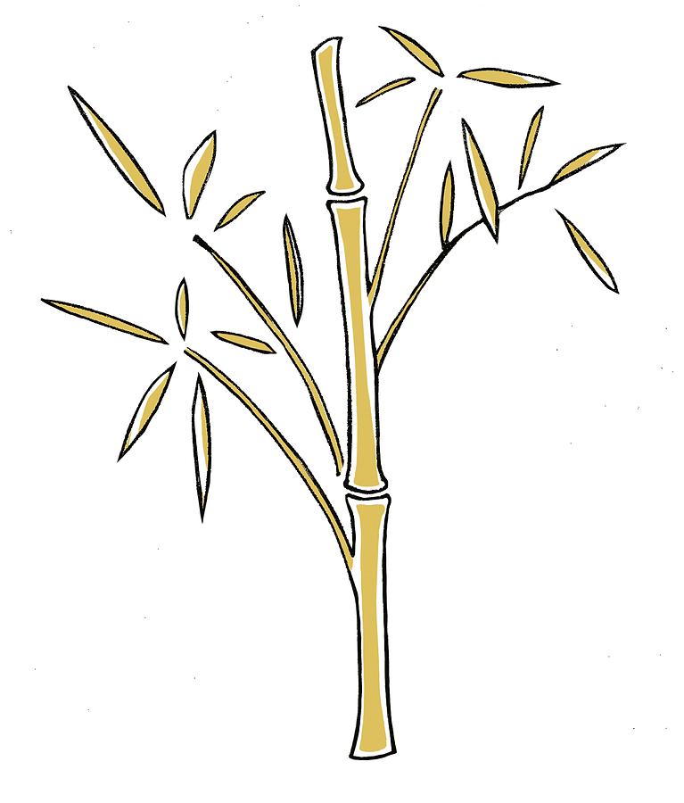 Digital Illustration Of Bamboo Shoots Digital Art by Anna Hymas