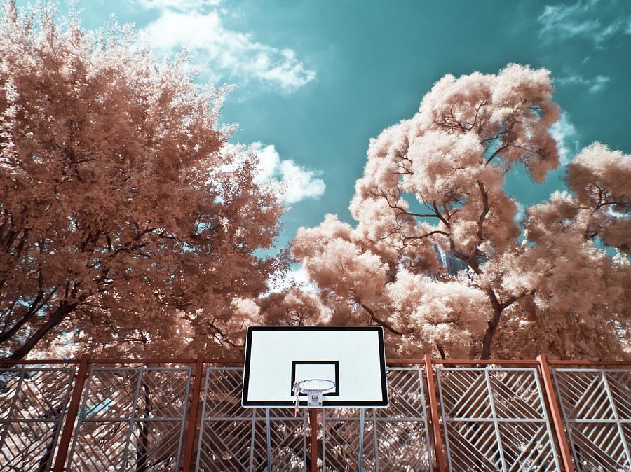 Digital Infrared Photos Photograph by Terryprince