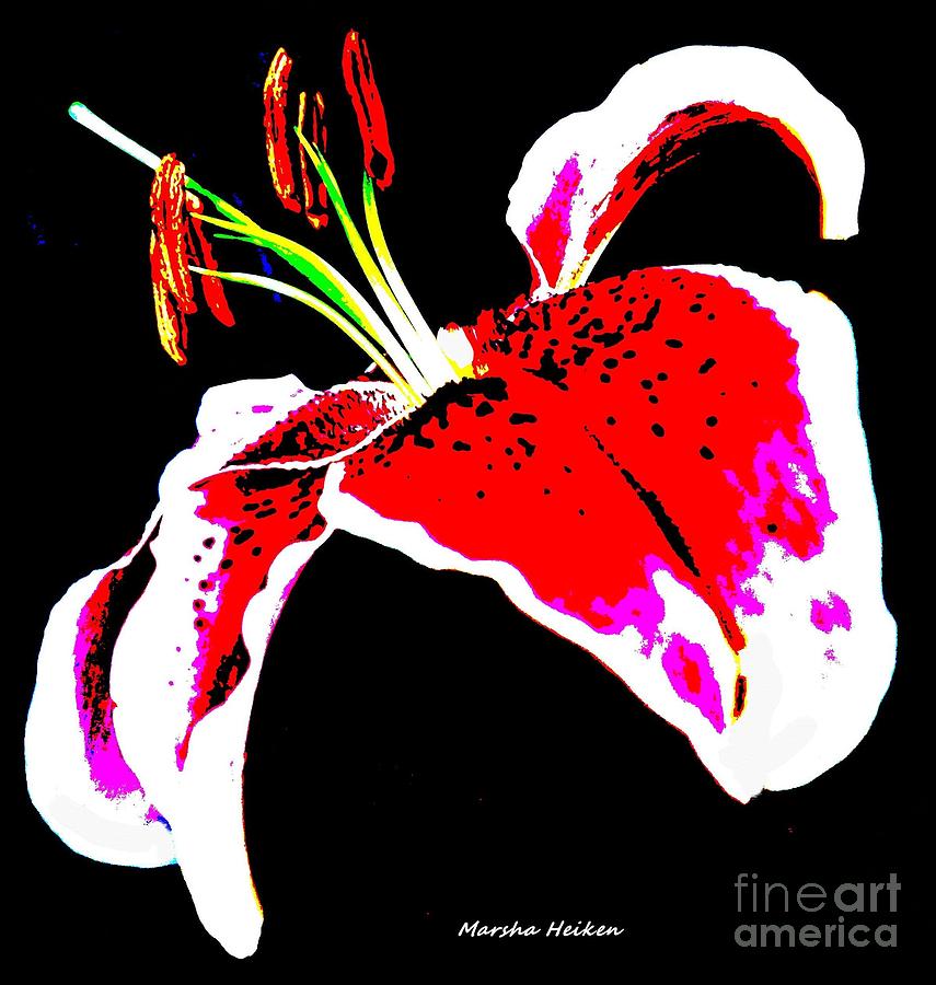 Lily Digital Art - Digital Lily by Marsha Heiken