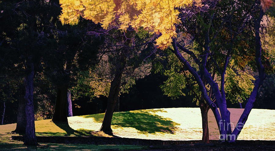 Digital Park Colors Fall Seasons  Digital Art by Chuck Kuhn