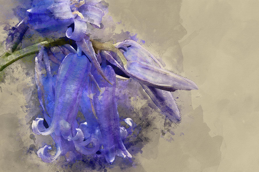 Digital watercolour painting of Beautiful low key macro close up ...