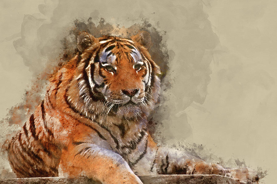 Digital watercolour painting of Stunning close up image of tiger ...