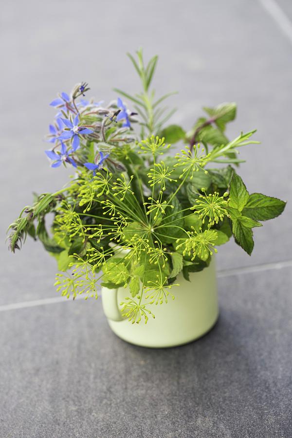 Dill Flowers, Mint, Borrage Flowers, Savory, Rosemary And Lemon Balm In A Yellow Enamel Mug Photograph by Tina Engel