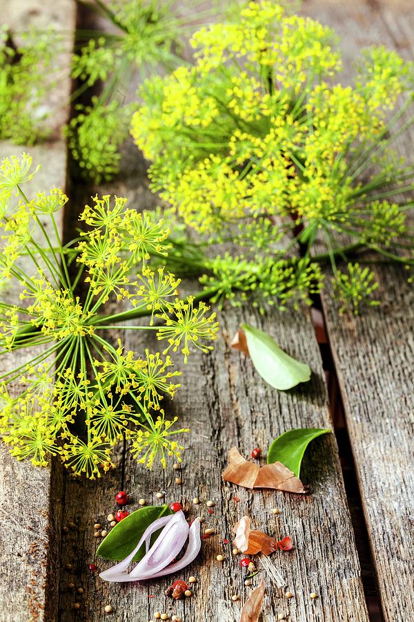 Dill Flowers On A Wooden Surface Photograph by Birgit Twellmann