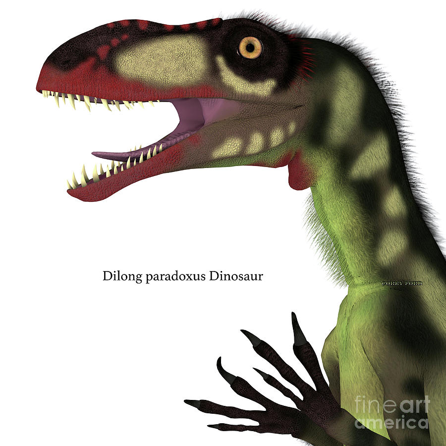 Dilong Dinosaur Head with Font Digital Art by Corey Ford