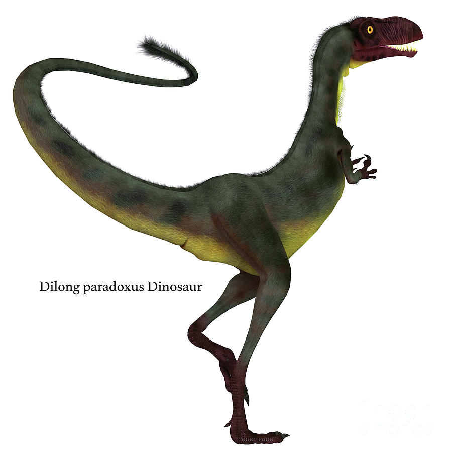 Dilong Dinosaur Tail with Font Digital Art by Corey Ford