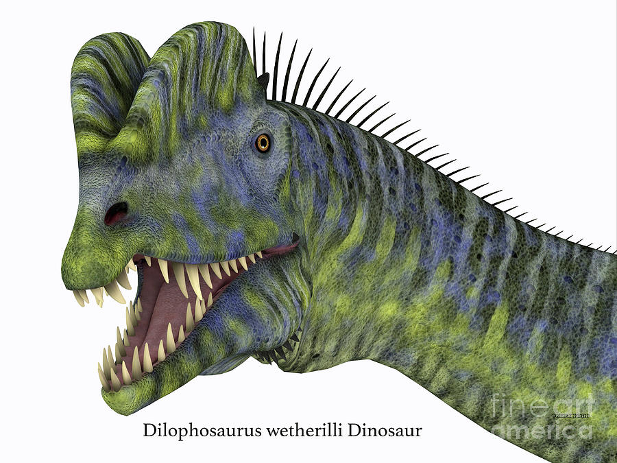 Dilophosaurus Dinosaur Head with Font Digital Art by Corey Ford