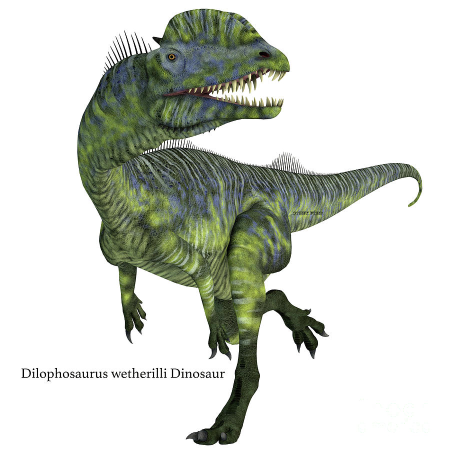 Dilophosaurus Dinosaur Running with Font Digital Art by Corey Ford