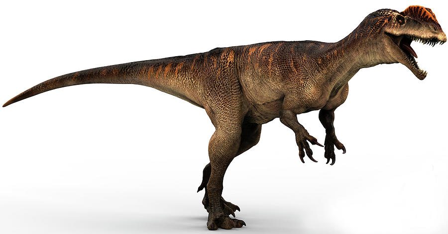 Dilophosaurus Dinosaur, Side View Photograph by Robert Fabiani