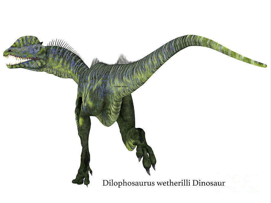 Dilophosaurus Dinosaur Tail with Font Digital Art by Corey Ford